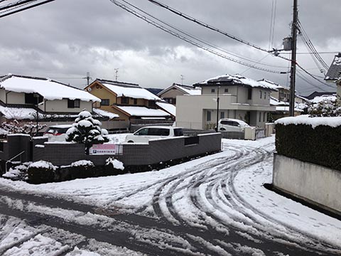 奈良は雪